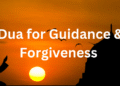 Dua for Guidance and Forgiveness 3 Dua for Forgiveness