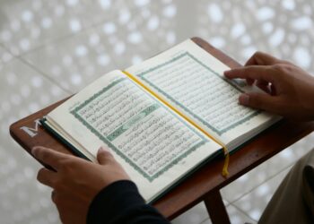 The Role of Structured Mentorship in Quranic Education: Why Self-Study Apps Aren't Enough 4 Structured Mentorship in Quranic Education