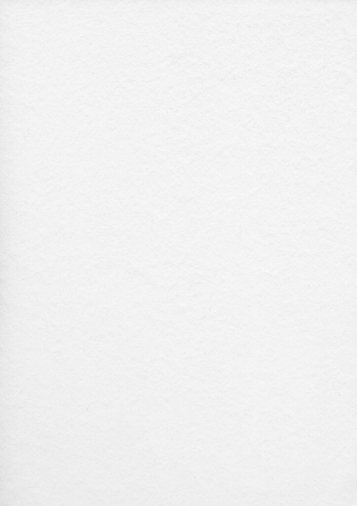kiwihug zGZYQQVmXw0 unsplash